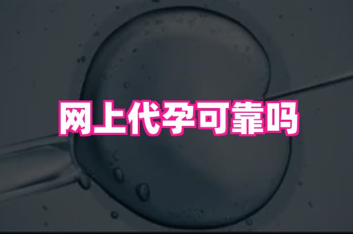香港助孕网 2