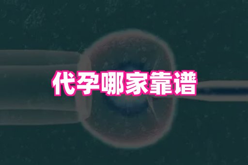 香港助孕网 3