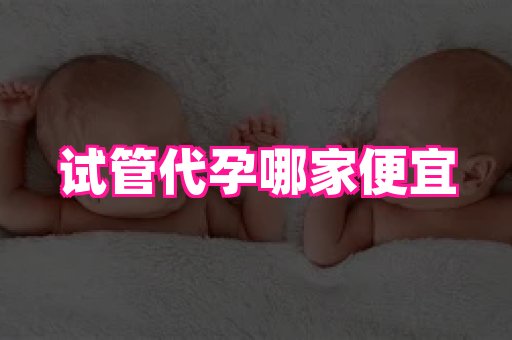 香港助孕网 4